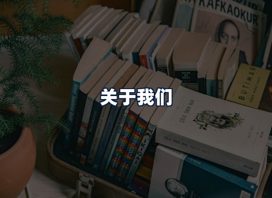 关于我们